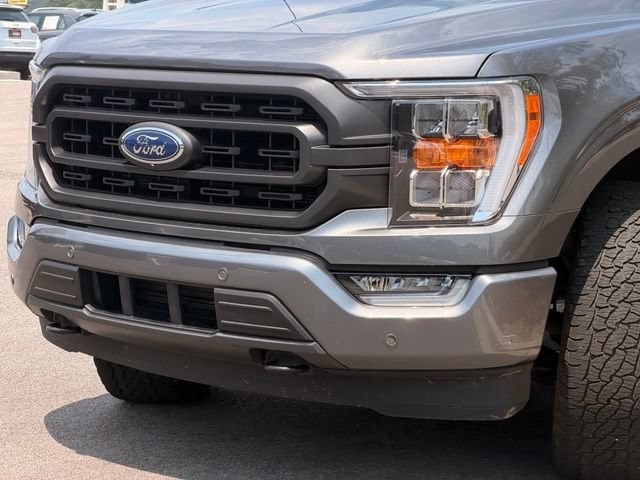 Used 2022 Ford F150 XLT w/ Equipment Group 302A High AWD/4WD image 6