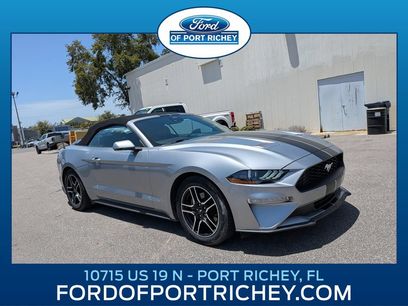 Used 2023 Ford Mustang Premium w/ Equipment Group 201A