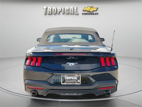 Used 2025 Ford Mustang Premium image 4