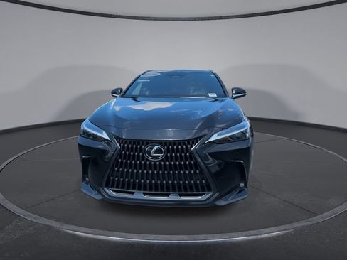 Used 2025 Lexus NX 250 FWD w/ Cold Area Package image 4