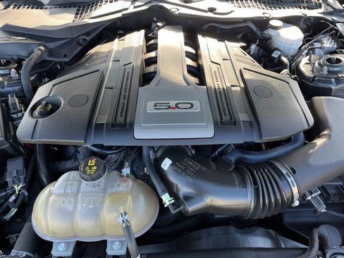 Used 2019 Ford Mustang GT w/ Black Accent Package image 28