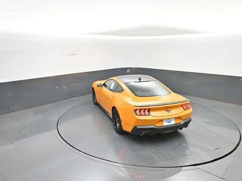 New 2026 Ford Mustang Coupe w/ Mustang Nite Pony Package RWD image 24