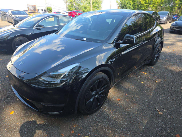 Used 2024 Tesla Model Y Long Range AWD/4WD image 1
