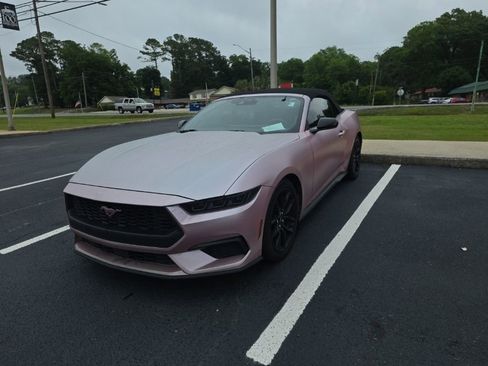 Used 2024 Ford Mustang Premium w/ Mustang Nite Pony Package RWD image 1
