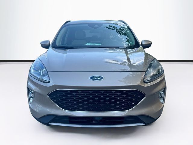 Used 2020 Ford Escape SEL AWD/4WD image 2