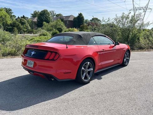 Used 2015 Ford Mustang Convertible w/ Equipment Group 051A RWD image 3