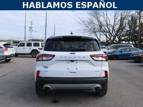 Used 2022 Ford Escape SE w/ Cold Weather Package image 4
