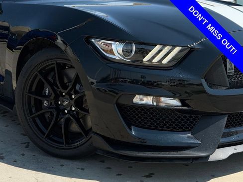 Used 2019 Ford Mustang Shelby GT350 w/ Technology Package RWD image 2