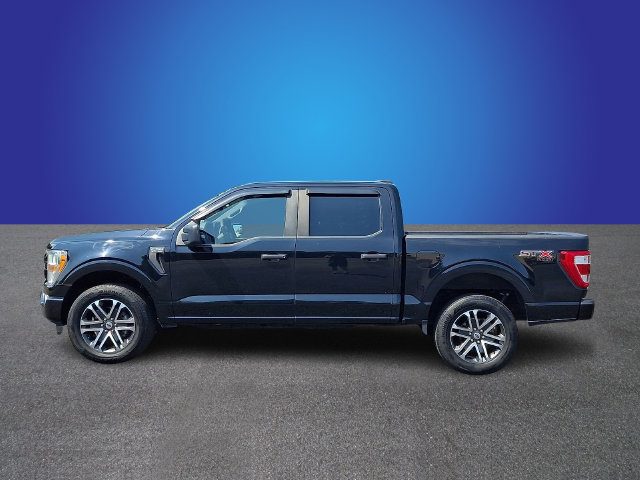 Used 2022 Ford F150 XL w/ STX Appearance Package AWD/4WD image 7