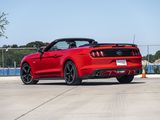 Used 2017 Ford Mustang GT Premium w/ Equipment Group 401A image 3
