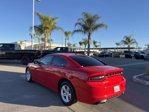 Used 2020 Dodge Charger SXT w/ Driver Convenience Group image 6