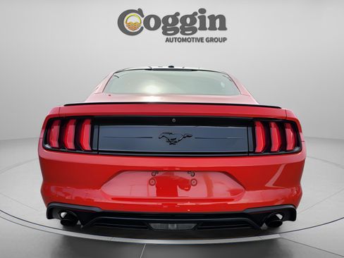 Used 2019 Ford Mustang Coupe w/ Equipment Group 101A image 4