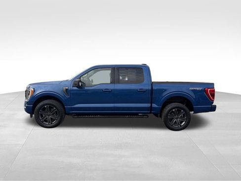 Used 2023 Ford F150 XLT w/ Equipment Group 302A High AWD/4WD image 14