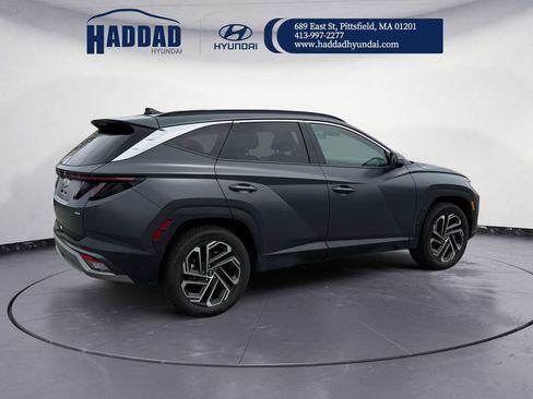Used 2025 Hyundai Tucson Limited AWD/4WD image 5