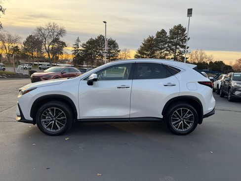 Used 2025 Lexus NX 350h AWD w/ Premium Package image 11