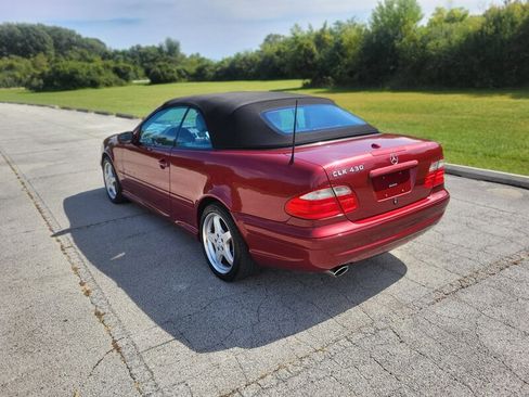 Used 2003 Mercedes-Benz CLK 430 Cabriolet image 8