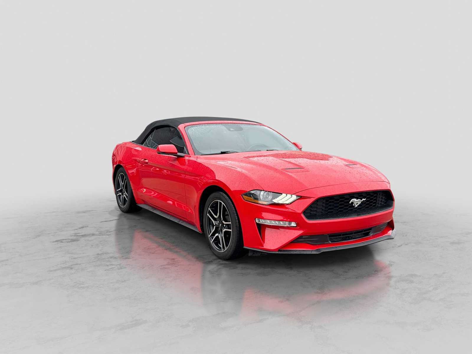 Used 2019 Ford Mustang Premium w/ Equipment Group 201A RWD image 8