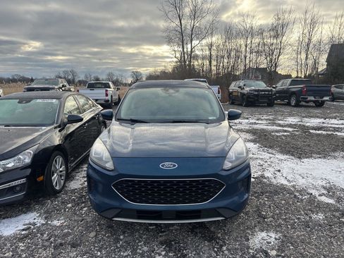 Used 2020 Ford Escape SE image 2