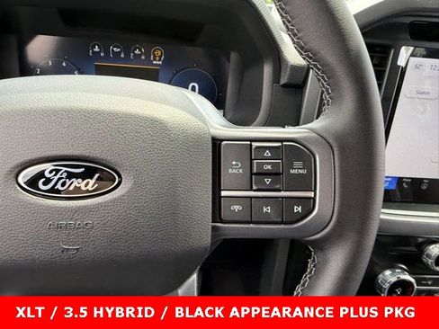 New 2025 Ford F150 XLT w/ Equipment Group 302A MID image 24