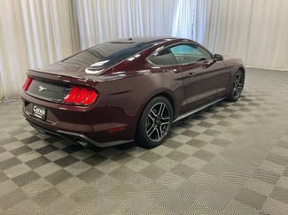 Used 2018 Ford Mustang Premium w/ Equipment Group 201A RWD video 2