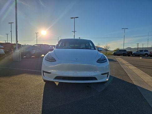 Used 2020 Tesla Model Y Long Range image 3