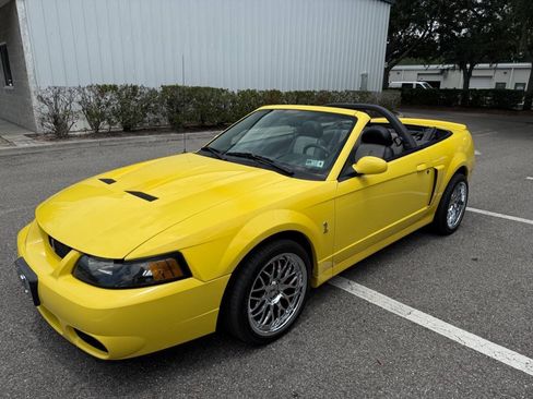 Used 2003 Ford Mustang Cobra RWD image 14