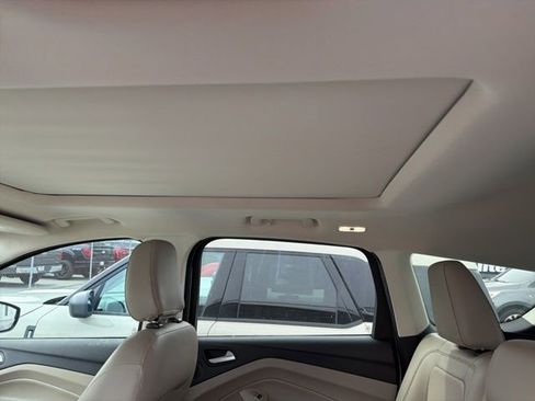 Used 2019 Ford Escape Titanium image 6