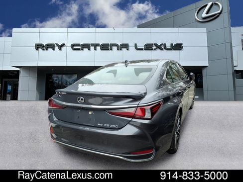 Certified 2023 Lexus ES 250 w/ Premium Package image 3