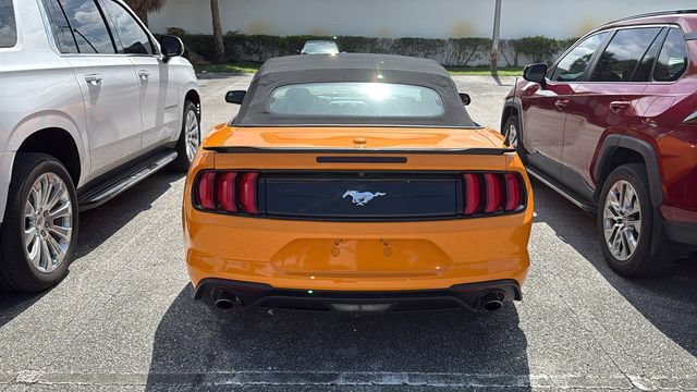 Used 2019 Ford Mustang Convertible RWD image 5