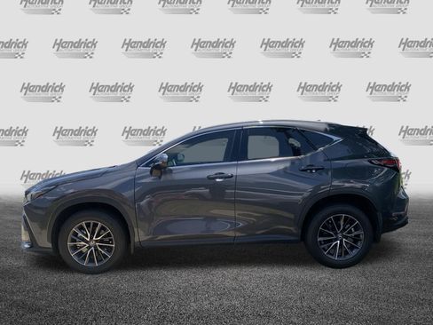 Certified 2024 Lexus NX 350 AWD image 7