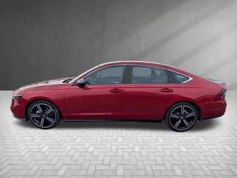 Used 2024 Honda Accord Sport image 5