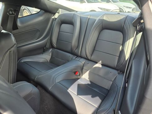 New 2026 Ford Mustang Premium w/ Mustang Nite Pony Package image 18
