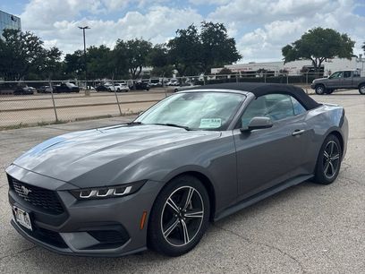 Used 2024 Ford Mustang Premium