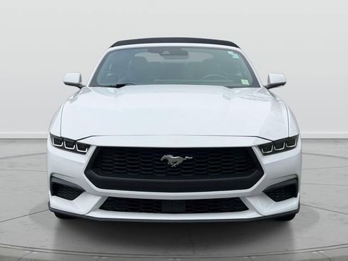 Used 2024 Ford Mustang Premium RWD image 2