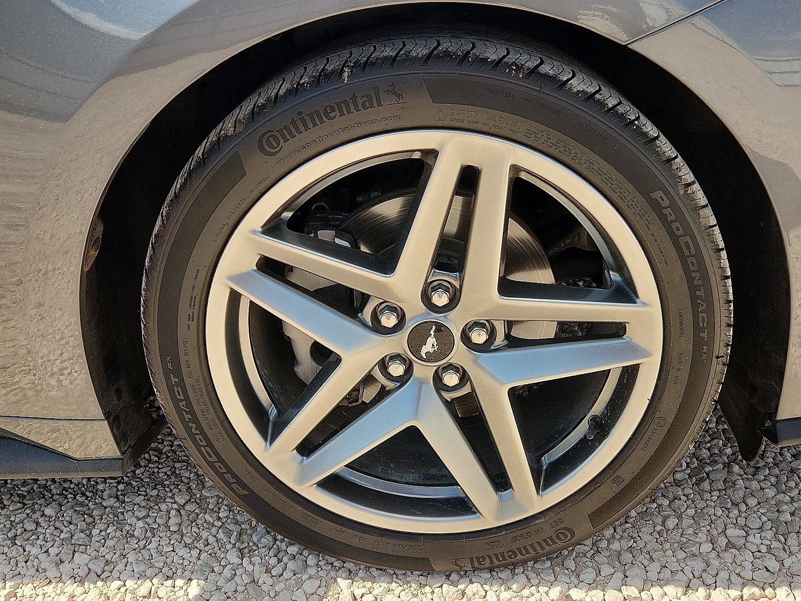 Used 2024 Ford Mustang Coupe RWD image 7