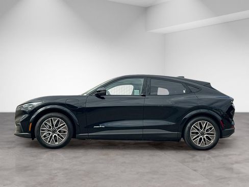 Used 2025 Ford Mustang Mach-E Premium w/ Interior Protection Package AWD/4WD image 3