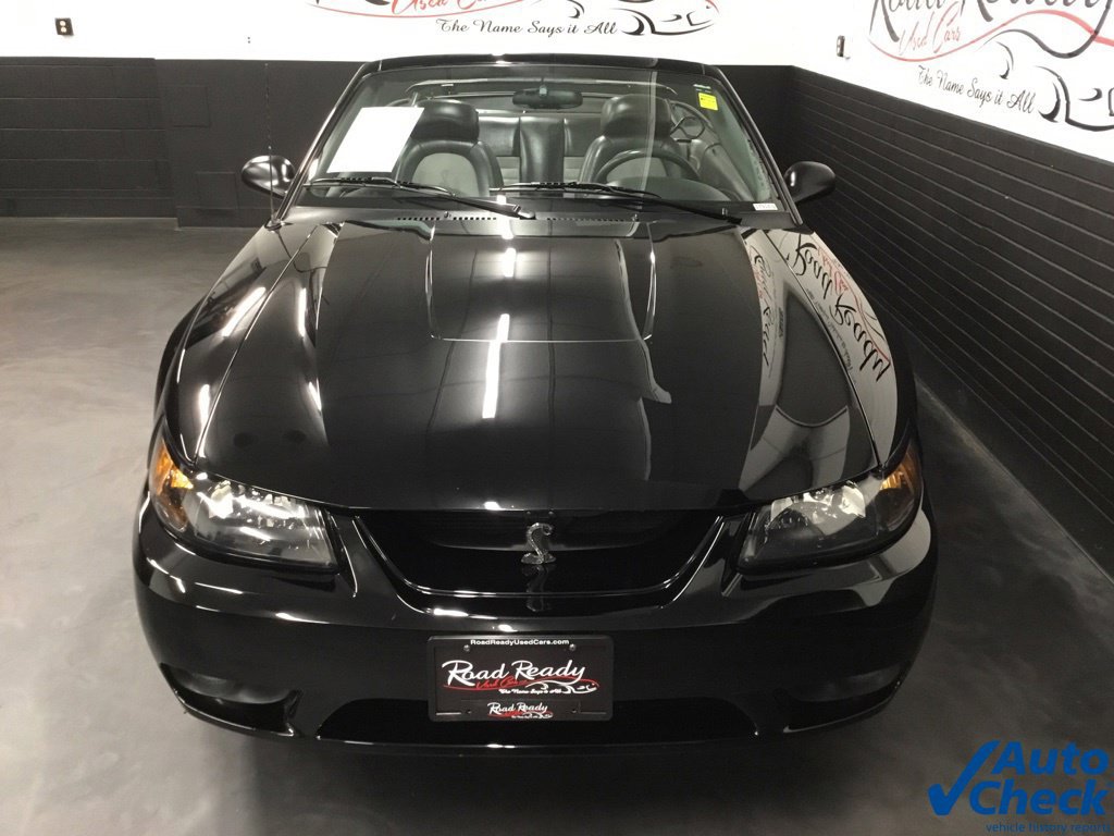 Used 2001 Ford Mustang Cobra RWD image 4
