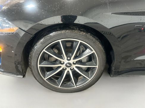 Used 2023 Ford Mustang GT w/ Mustang Nite Pony Package image 29