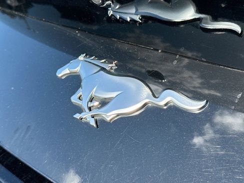 Used 2024 Ford Mustang Premium image 11
