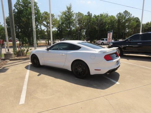 Used 2019 Ford Mustang Premium w/ Ecoboost Performance Package RWD image 13