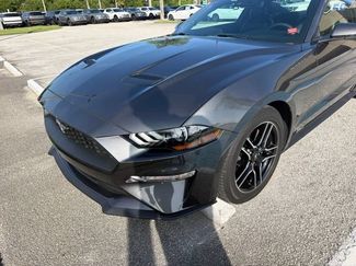 Used 2020 Ford Mustang Premium w/ Equipment Group 201A RWD video 1