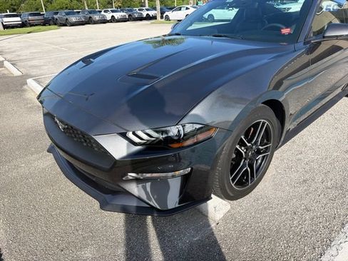 Used 2020 Ford Mustang Premium w/ Equipment Group 201A RWD image 1