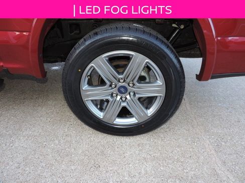 Used 2019 Ford F150 XLT w/ Equipment Group 302A Luxury AWD/4WD image 16