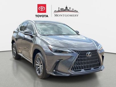 Used 2025 Lexus NX 350h AWD w/ Accessory Package (2T)