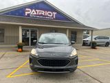 Used 2020 Ford Escape SE image 2
