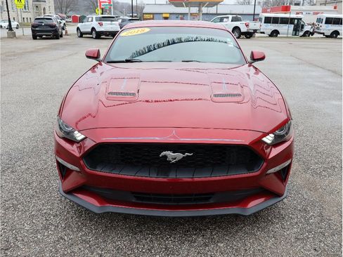 Used 2018 Ford Mustang Coupe w/ Ecoboost Performance Package image 2