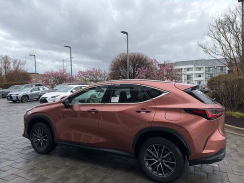 Certified 2025 Lexus NX 350h AWD w/ Cold Area Package image 15