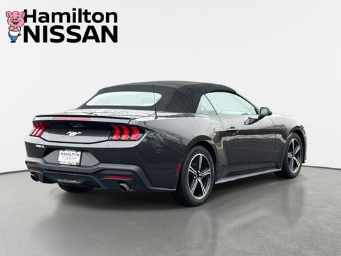 Used 2024 Ford Mustang Premium image 2