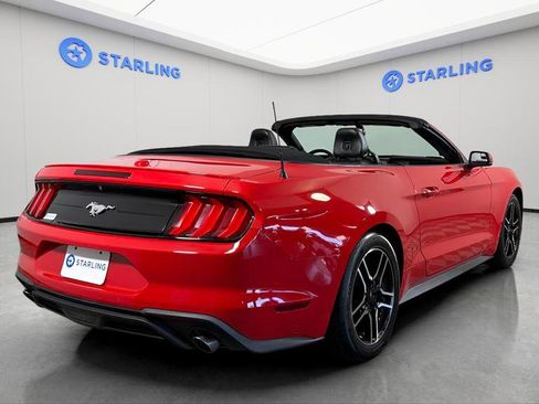 Used 2020 Ford Mustang Premium RWD image 8