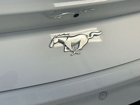 Used 2025 Ford Mustang Coupe RWD image 10